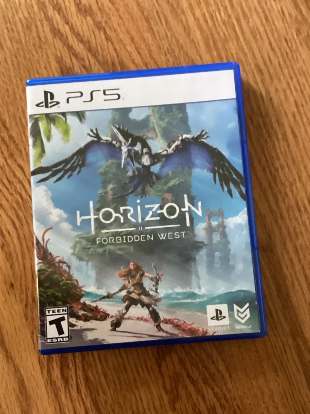 Sony PS5 Horizon Forbidden West — Blue Game Case